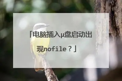 笔记本电脑台式机开机启动界面出现no file解决方法